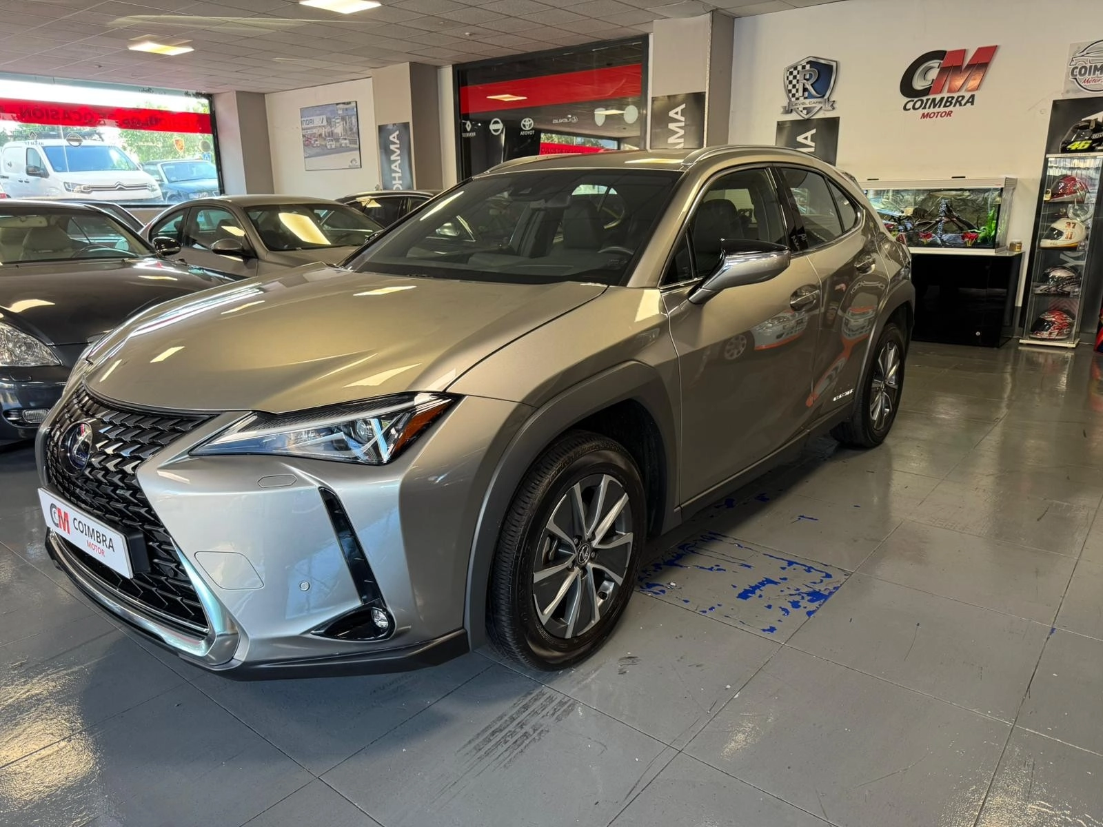 LEXUS UX 300e Executive 2022 Eléctrico Gris / Plata - Vista principal