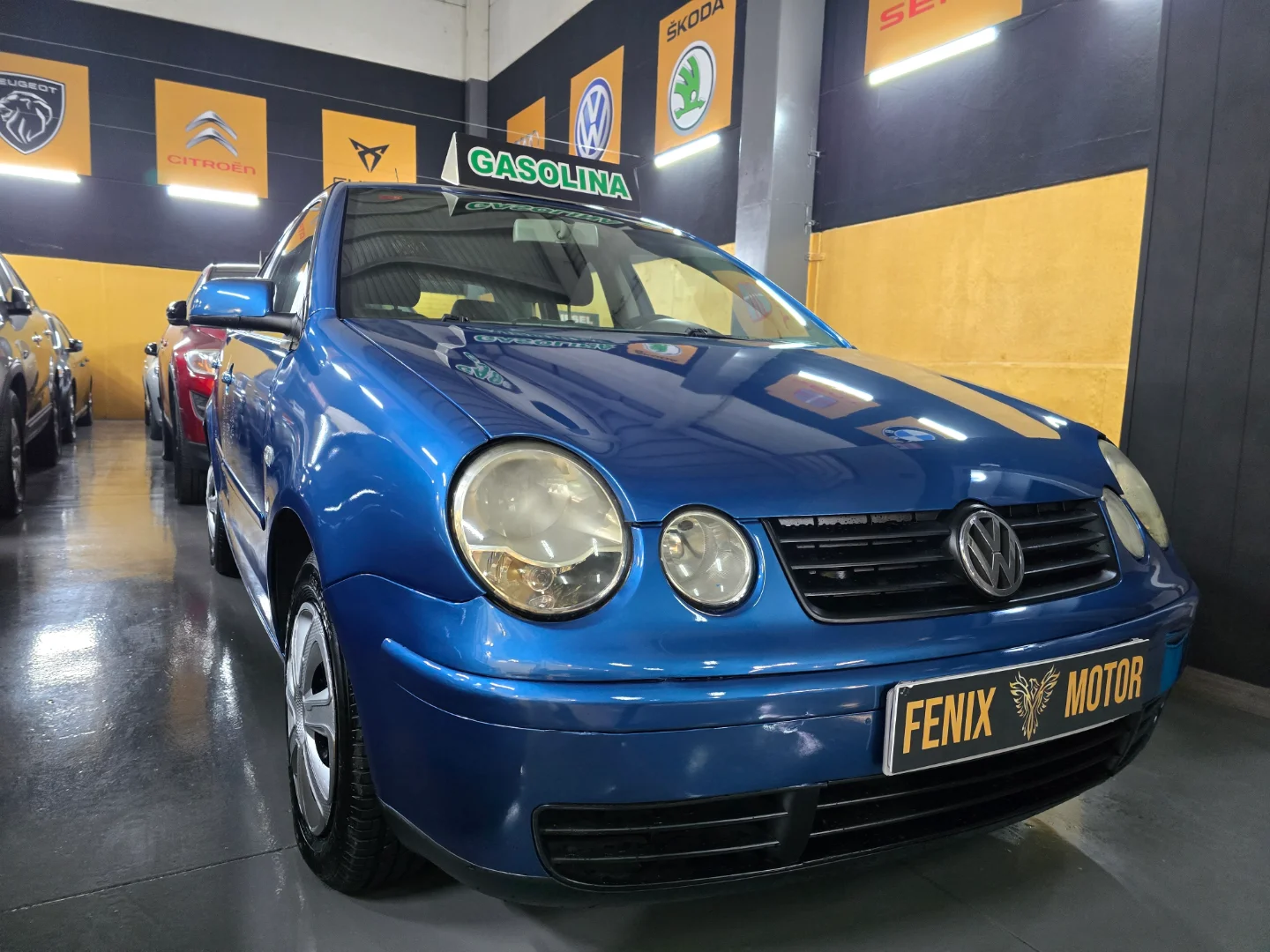 Volkswagen Polo 1.4 Auto Trendline 75CV 2004 Gasolina Azul - Vista principal