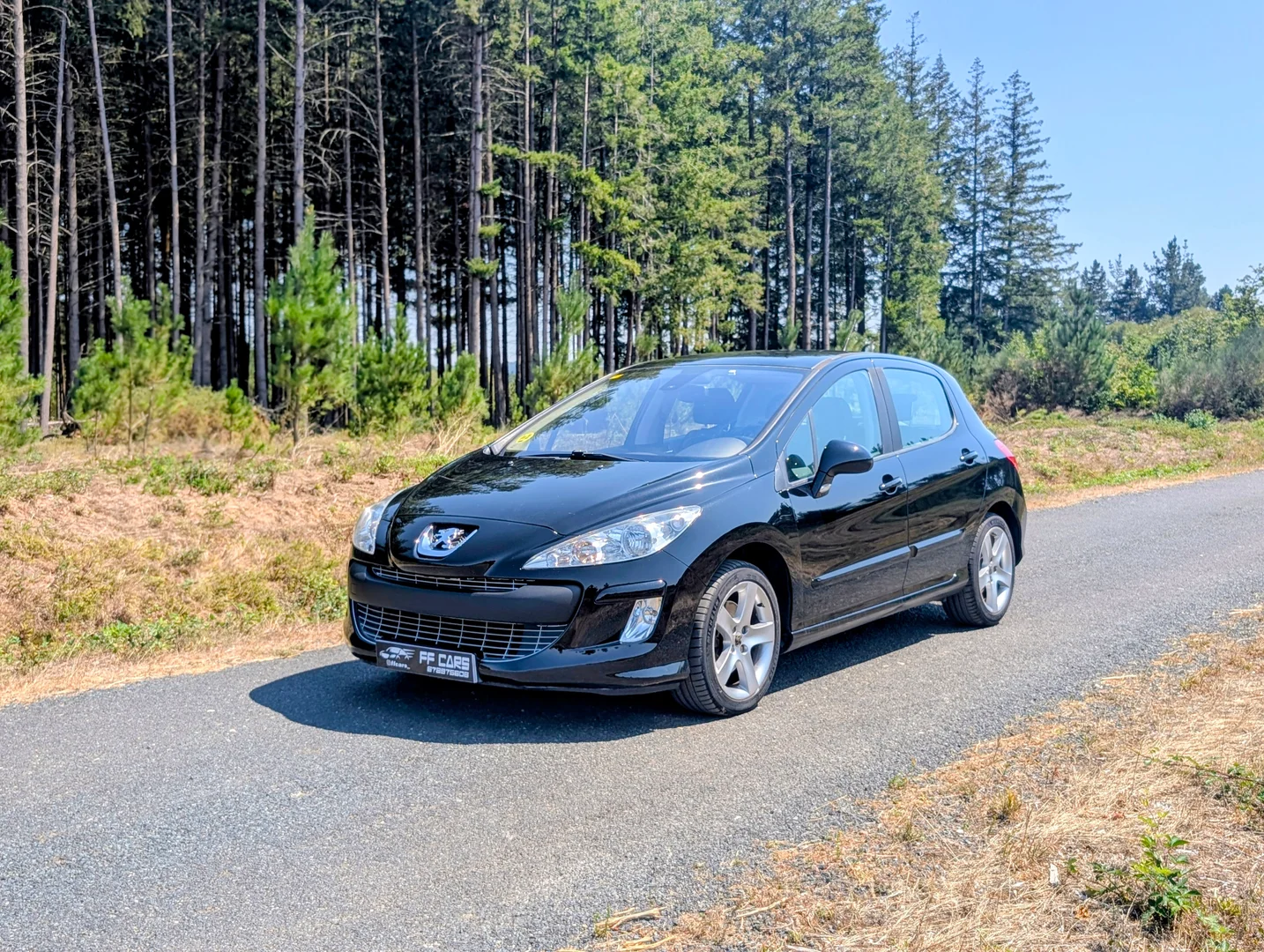Peugeot 308 Premium 2.0 HDI 136 FAP 2009 Diésel Negro - Vista principal
